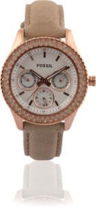 fossilwatch