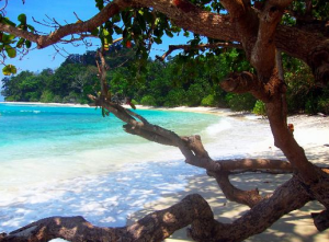 Island. Courtesy TripAdvisor