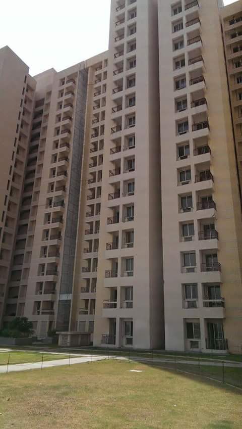 Jaypee kosmos. Courtesy: Original owner