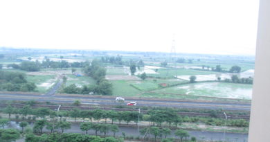 Yamuna flood plain