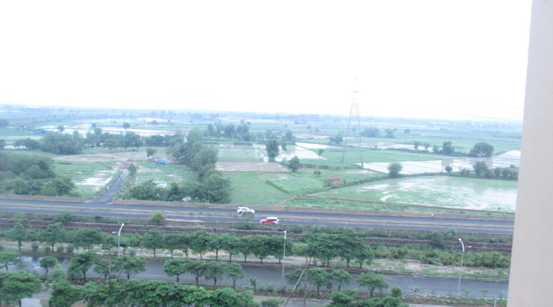 Yamuna flood plain