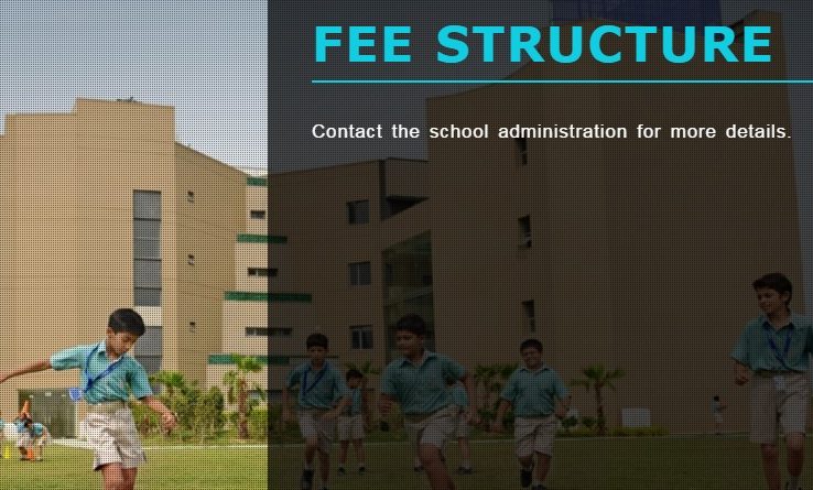 school fees not available online