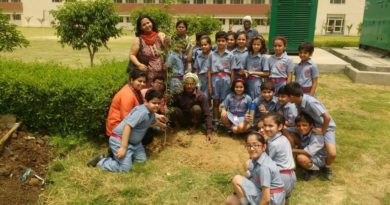 Aravali International School